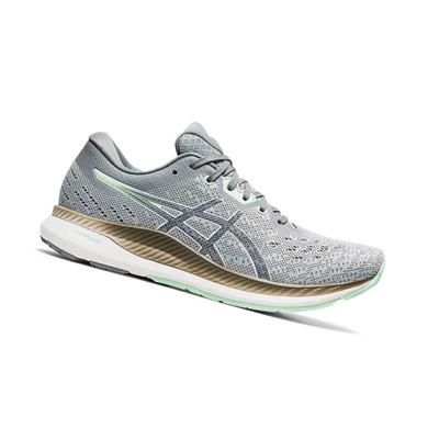 Tenis Para Correr Asics EVORIDE Mujer Grises | 6913820-VW