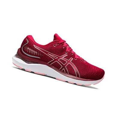 Tenis Para Correr Asics GEL-CUMULUS 24 Mujer Rosas | 3672541-LT