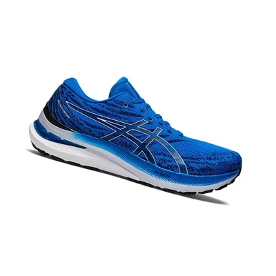 Tenis Para Correr Asics GEL-KAYANO 29 Hombre Azules Blancos | 9421036-CY
