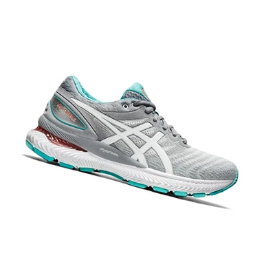 Tenis Para Correr Asics GEL-NIMBUS 22 Anchos Mujer Grises Claro | 0748219-RU