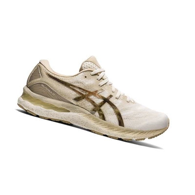Tenis Para Correr Asics GEL-NIMBUS 23 EARTH DAY Hombre Creme | 9627415-FZ