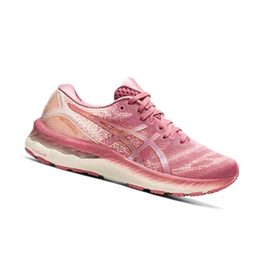 Tenis Para Correr Asics GEL-NIMBUS 23 Mujer Rosas | 7392418-VH
