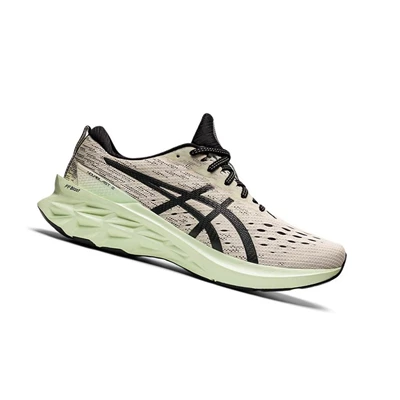 Tenis Para Correr Asics NOVABLAST 2 Hombre Beige | 4561872-EB