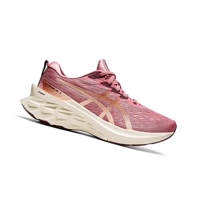 Tenis Para Correr Asics NOVABLAST 2 Mujer Rosas | 0231458-OQ