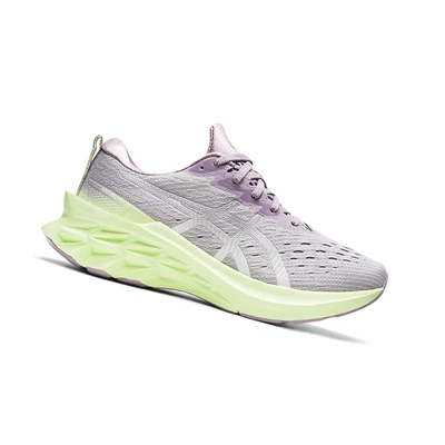 Tenis Para Correr Asics NOVABLAST 2 Mujer Plateados | 2019874-HR