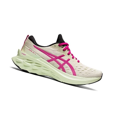 Tenis Para Correr Asics NOVABLAST 2 Mujer Rosas | 6501974-YF