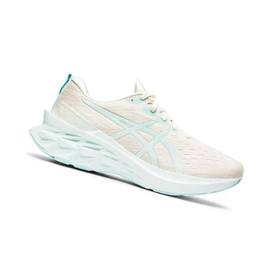 Tenis Para Correr Asics NOVABLAST 2 Mujer Azules | 6875419-HQ