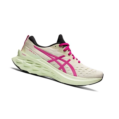 Tenis Para Correr Asics NOVABLAST 2 Mujer Beige | 7139460-HK