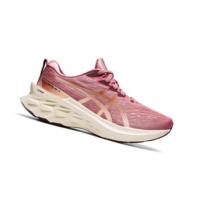 Tenis Para Correr Asics NOVABLAST 2 Mujer Rosas | 9823146-VP