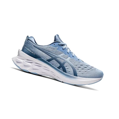 Tenis Para Correr Asics NOVABLAST 2 Mujer Grises | 9857104-GR