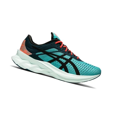 Tenis Para Correr Asics NOVABLAST Hombre Turquesa | 8257019-DX